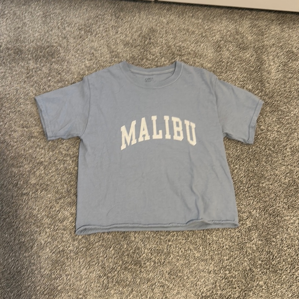 PACSUN cropped tee